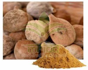 Terminalia Extract Baheda Powder