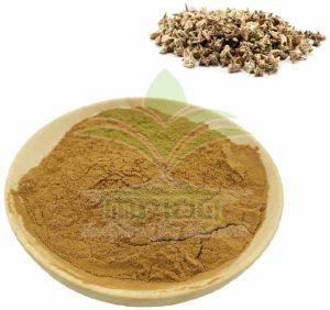Tribulus Terrestris Gokhru Extract