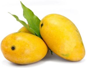 Badami Mango