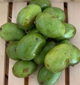 Chandrakkaran Mango