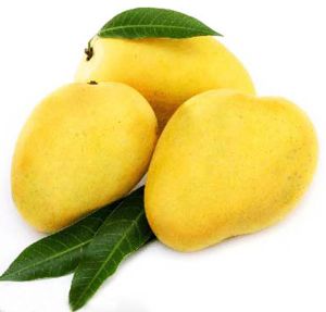 Chaunsa Mango