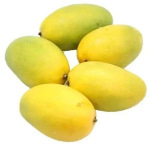 Chausa Mango