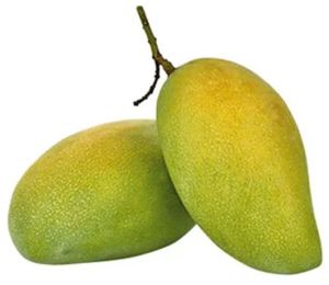 Fazli Mango