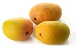 Lakshmanbhog Mango