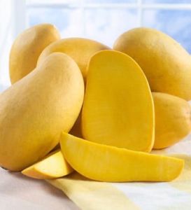 Organic Nawab Mango