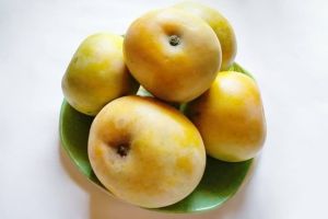 Rumani Mango