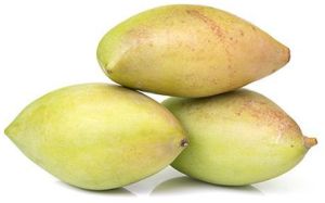 Totapuri Mango