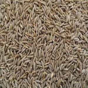 Europe Quality Cumin Seeds