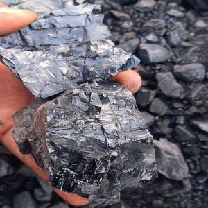Indonesian Coal