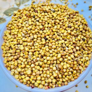 Yellow Sorghum Seeds