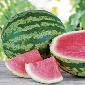 A Grade Fresh Watermelon