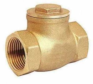 Check Valve