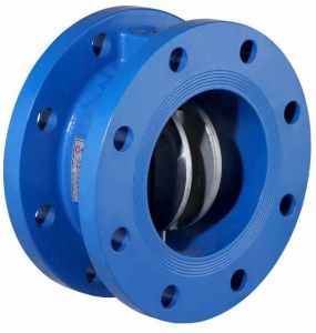 Double Flange Dual Plate Check Valve