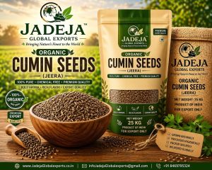 Organic Cumin Seeds