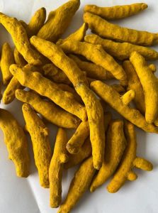 Salem Double Polished Turmeric Finger