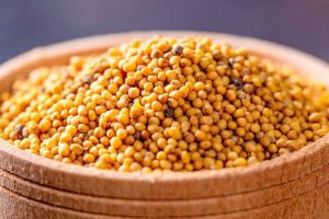 Yellow Natural Mustard Seeds