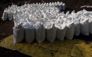 Natural Cow Dung Powder