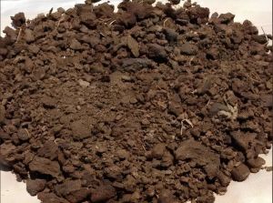 Natural Cow Dung Powder