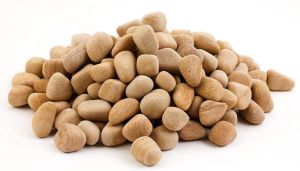 Golden Teak Natural Pebbles Stones