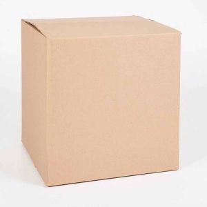 2 Ply Corrugated Packing Box