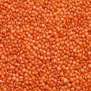 Whole Red Masoor Dal