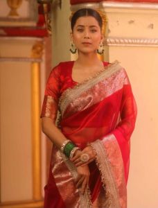 Red Banarasi Tissue Silk Saree