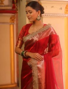 Red Banarasi Tissue Silk Saree