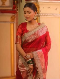 Red Banarasi Tissue Silk Saree