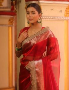 Red Banarasi Tissue Silk Saree