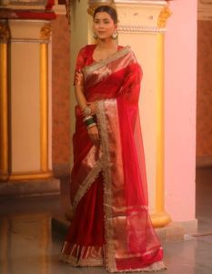 Red Banarasi Tissue Silk Saree