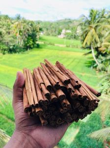 Ceylon Cinnamon Sticks