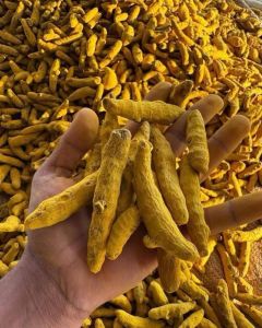 Organic Dried Turmeric Finger