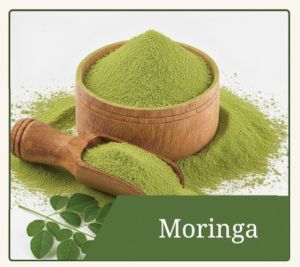 Dehydrated Moringa Powder