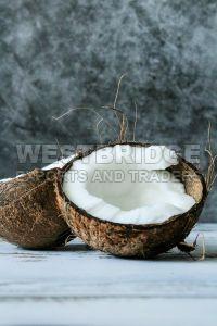 Semi Husked Coconuts