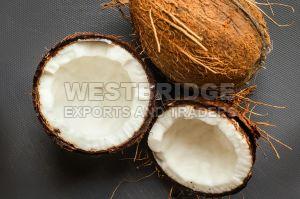 Semi Husked Coconuts