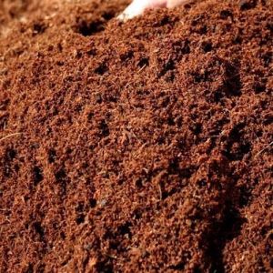 Coir Pith Manure