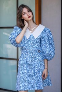 Ladies Blue Printed Casual Wear Collar Short Dress