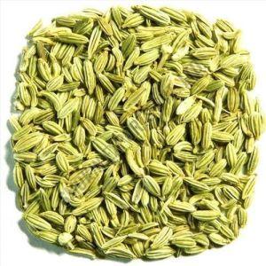 A Grade Fennel Seeds