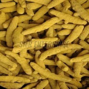 Rajapuri Turmeric Finger