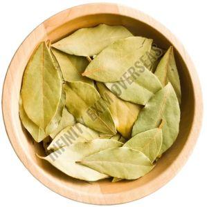 Bay Leaf