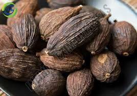 black cardamom