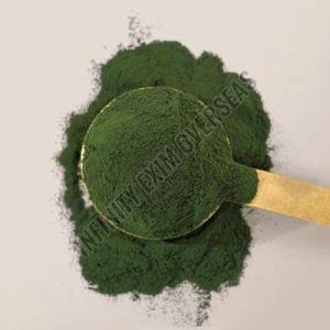 Chlorella Extract Powder