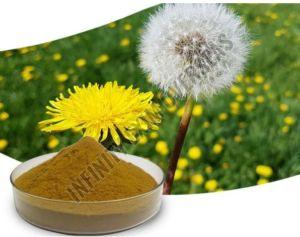 Dandelion Leaves Powder
