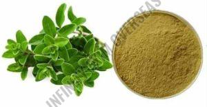 Dried Oregano Powder