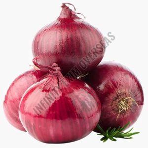 Fresh Red Onion