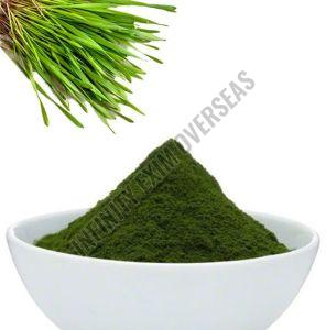 Green Barley Grass Powder