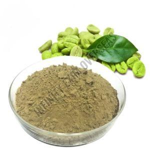 Green Coffee Bean Extract Powder