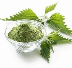 Himalayan Nettle Leaves Powder