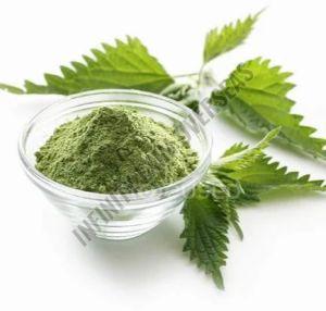 Nettle Leaf Powder