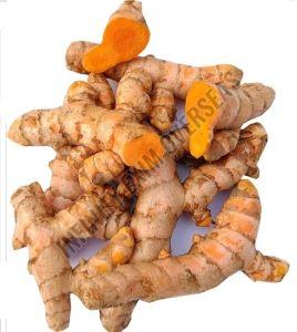 Raw Turmeric Finger